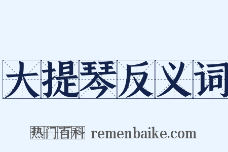 大提琴反义词是什么意思的图片